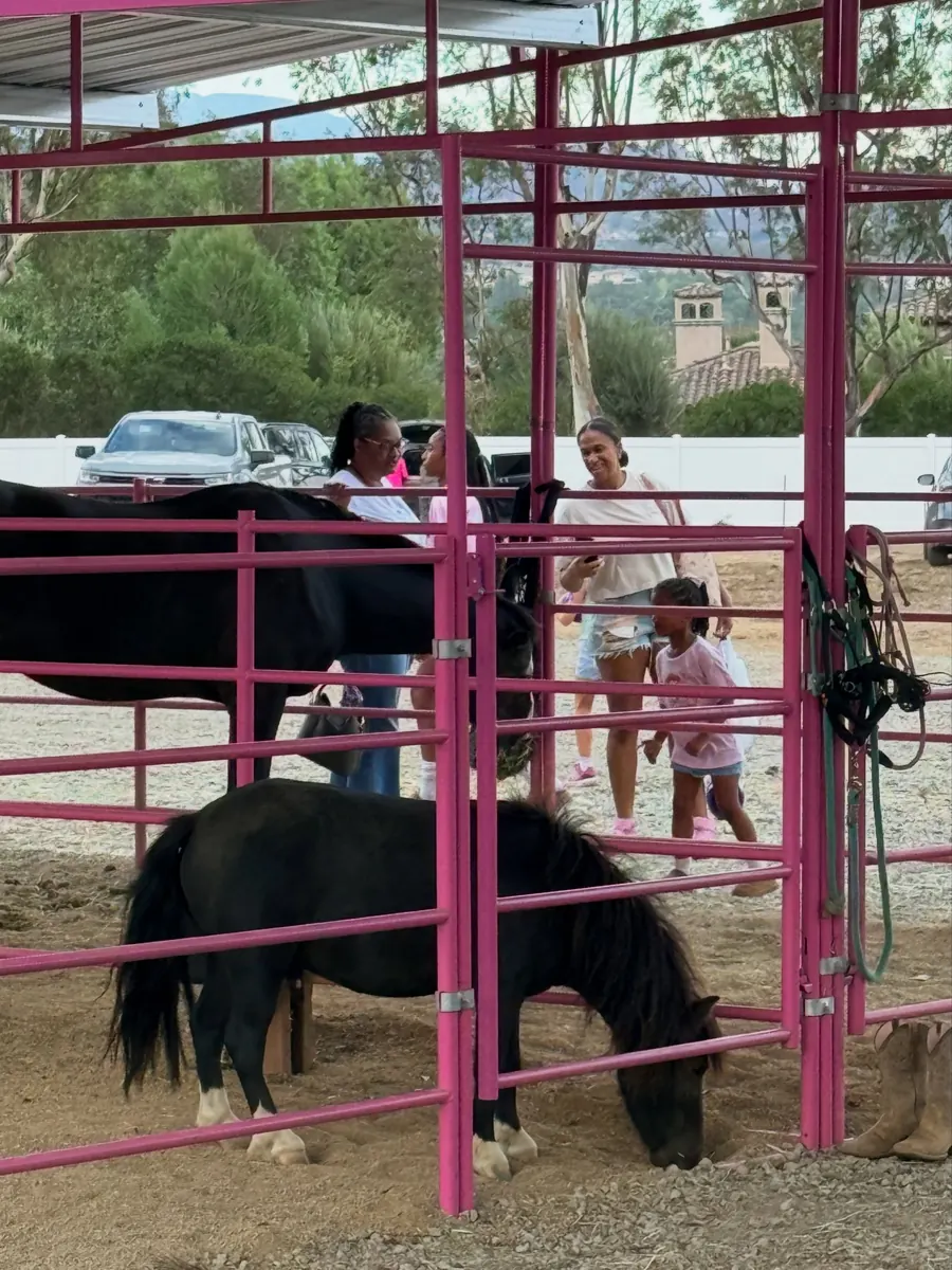 Ponies meeting visitors at the coral during the Grand Opening